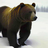 Malen nach Zahlen - Braunbär im Winter - hochwertige Leinwand - Bär, Horizontal, Tiere
