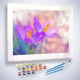Malen nach Zahlen - Violetter Krokus - hochwertige Leinwand - Blumen, Horizontal, Krokus