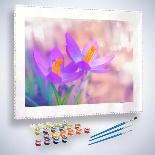 Malen nach Zahlen - Violetter Krokus - hochwertige Leinwand - Blumen, Horizontal, Krokus