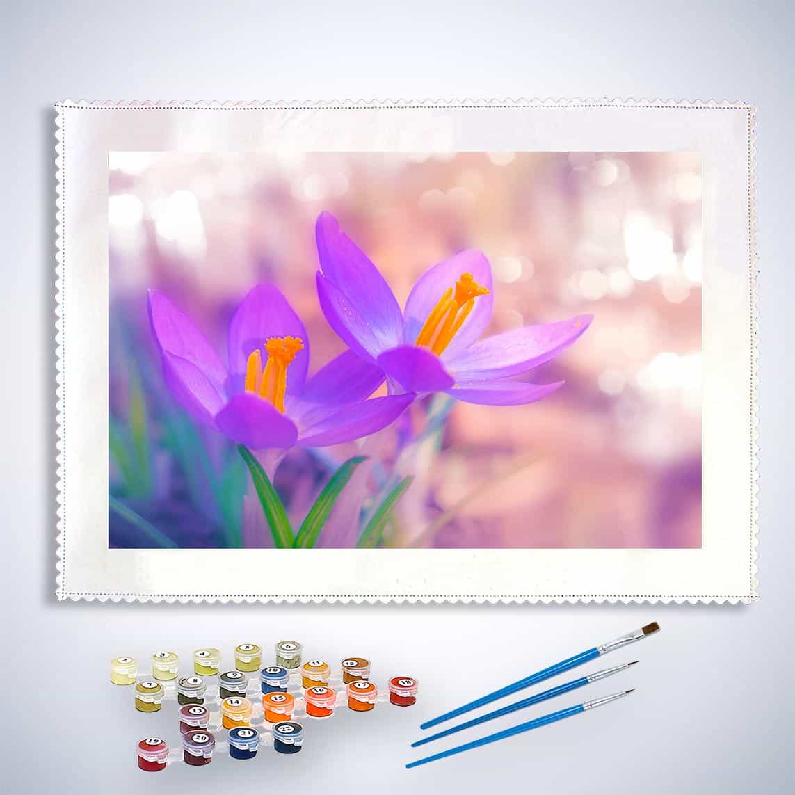 Malen nach Zahlen - Violetter Krokus - hochwertige Leinwand - Blumen, Horizontal, Krokus