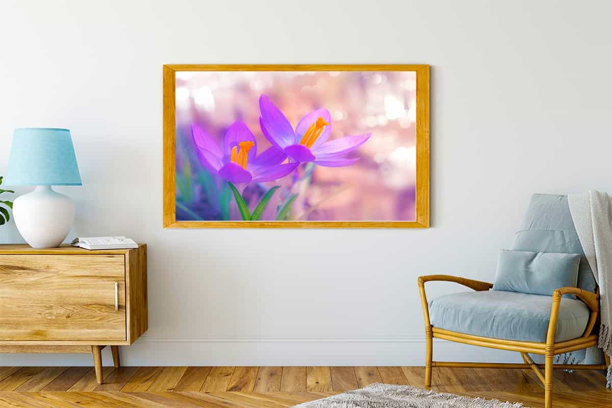 Malen nach Zahlen - Violetter Krokus - hochwertige Leinwand - Blumen, Horizontal, Krokus