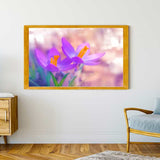Malen nach Zahlen - Violetter Krokus - hochwertige Leinwand - Blumen, Horizontal, Krokus