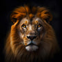 Diamond Painting - Löwe frontaler Blick - gedruckt in Ultra-HD - Löwe, Neu eingetroffen, Quadratisch, Tiere