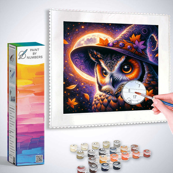 Paint by Numbers - Halloween Owl Witch