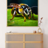 Diamond Painting - Biene Frontal - gedruckt in Ultra-HD - Biene, Neu eingetroffen, Quadratisch, Tiere