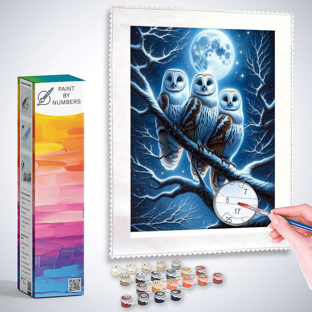 Paint by Numbers - Owl Family at Night