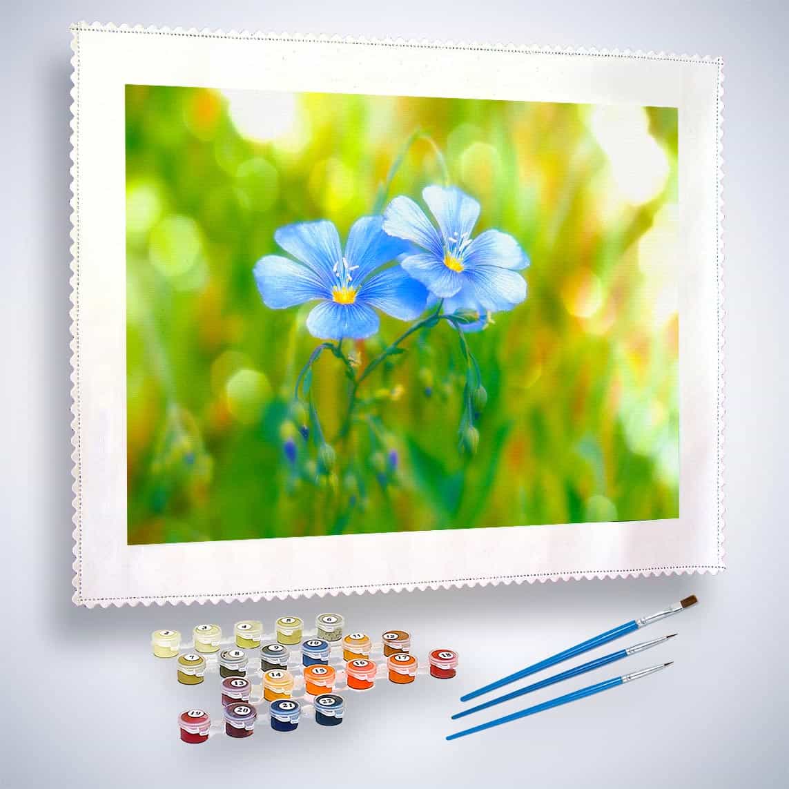 Malen nach Zahlen - Blümchenpaar auf Wiese - hochwertige Leinwand - Blumen, Horizontal