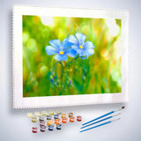 Malen nach Zahlen - Blümchenpaar auf Wiese - hochwertige Leinwand - Blumen, Horizontal