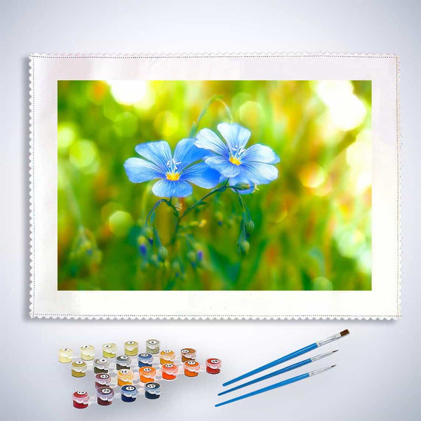 Malen nach Zahlen - Blümchenpaar auf Wiese - hochwertige Leinwand - Blumen, Horizontal