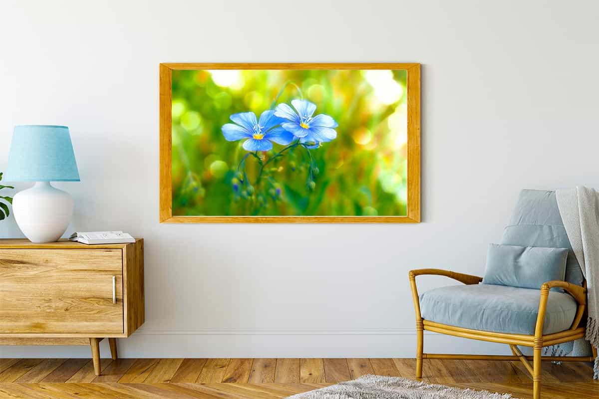 Malen nach Zahlen - Blümchenpaar auf Wiese - hochwertige Leinwand - Blumen, Horizontal
