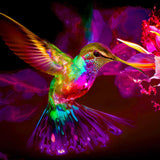 Malen nach Zahlen - Kolibrie, Abstrakt bunt - hochwertige Leinwand - Horizontal, Kolibri, Tiere, Vögel