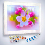 Malen nach Zahlen - Kirschblüte und Knospen - hochwertige Leinwand - Blumen, Horizontal