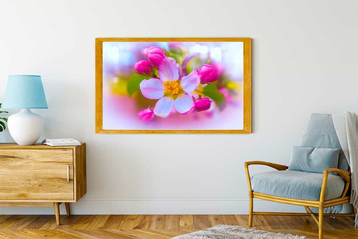 Malen nach Zahlen - Kirschblüte und Knospen - hochwertige Leinwand - Blumen, Horizontal