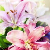 Lilien, Sonnenschein - Malen nach Zahlen - hochwertige Leinwand - 3fuer2, alfonso, Bestseller, Blumen, Einfach, exclude, Lilien, modern, vertikal, woo_import_1, zusatz