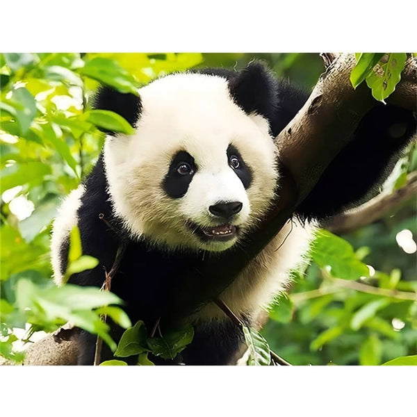 Malen nach Zahlen - Panda im Baum - hochwertige Leinwand - neue_bilder, panda, tiere