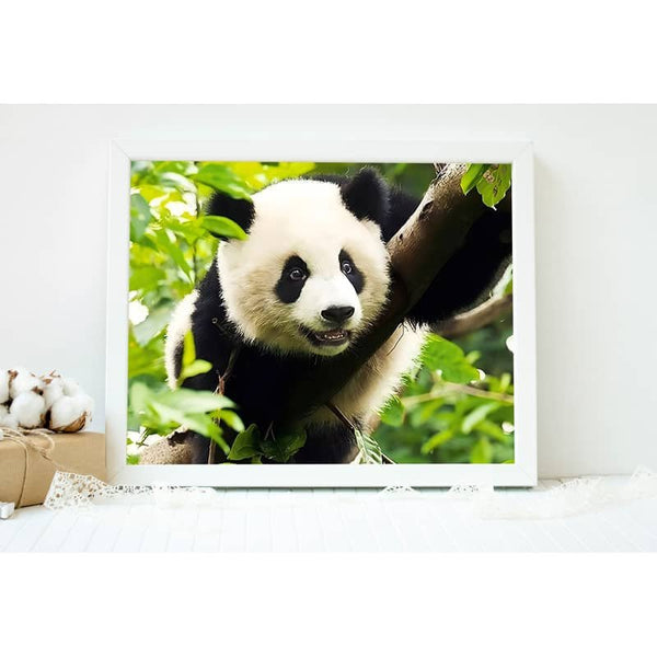 Malen nach Zahlen - Panda im Baum - hochwertige Leinwand - neue_bilder, panda, tiere