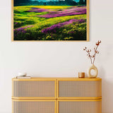 Malen nach Zahlen - Lila Blumenfelder - hochwertige Leinwand - Horizontal, Landschaft