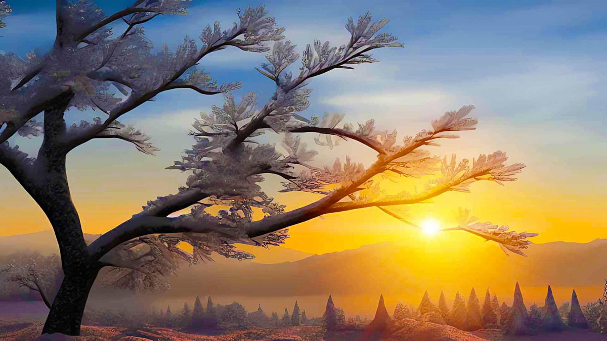 Malen nach Zahlen - Morgentau im Sonnenaufgang - hochwertige Leinwand - Horizontal, Landschaft, Sonnenaufgang, Winter