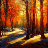 Malen nach Zahlen - Schattenspiel im Herbstwald - hochwertige Leinwand - Herbst, Horizontal, Landschaft, Wald